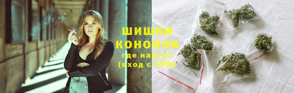 крисы Арсеньев