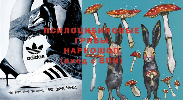крисы Арсеньев