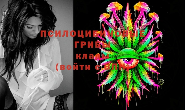 дживик Армянск